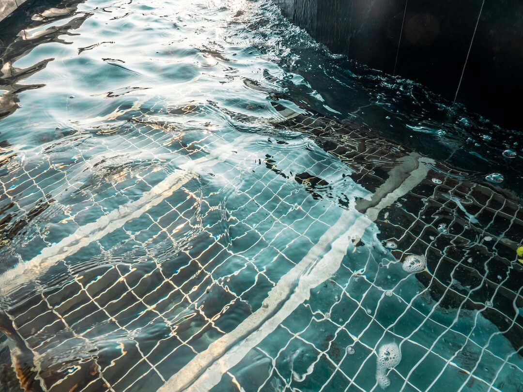 The Importance of Timely Intervention in Florida’s Climate Image